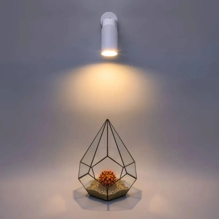 Светильник накладной WOLTA WSL-GU10/S06WCH под лампу GU10 Белый / Хром DOLCE