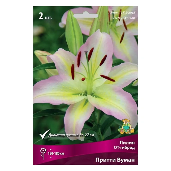 Луковицы Лилия ОТ-Гибрид Притти Вумен 14-16/К 2шт
