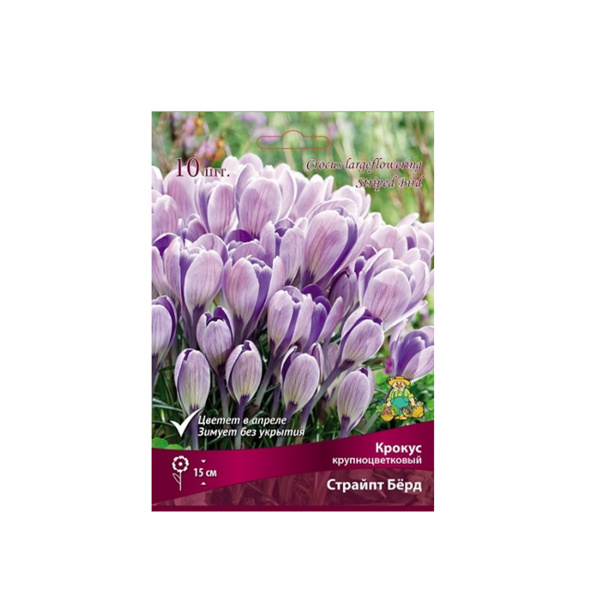 Луковицы Крокус крупноцветковый Страйпт Бёрд 7-8/К 10шт