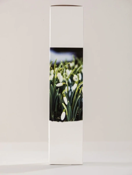 Аромадиффузор ALLPER Подснежники/Snowdrops 100мл
