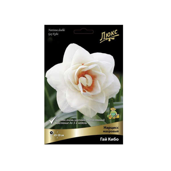 Луковицы Нарцисс махровый Гай Кибо* 12-14/К 3шт