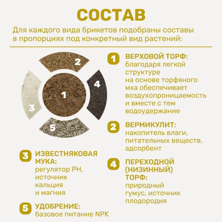 Почвобрикет БиоМастер Яркая бегония, 5л