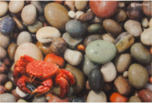 Коврик влаговпитывающий  "Samba"  40*60 см. "Галька", "VORTEX" / 15