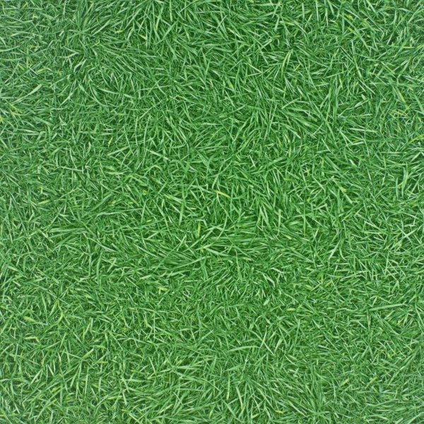 Линолеум IVC Bingo Grass 025 (3,0м) Линолеум IVC Bingo Grass 025 (3,0м)