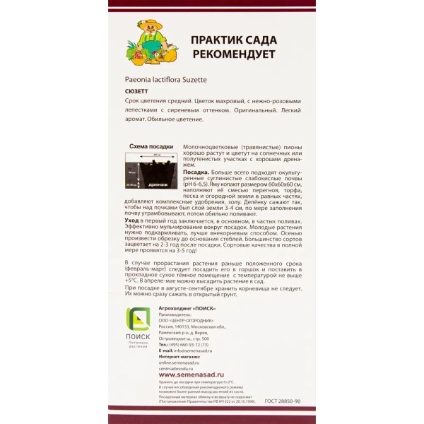 Луковицы Пион молочноцветковый Сюзетт 2-3/К