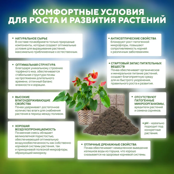 Почвобрикет БиоМастер Цветочный сад, 10л