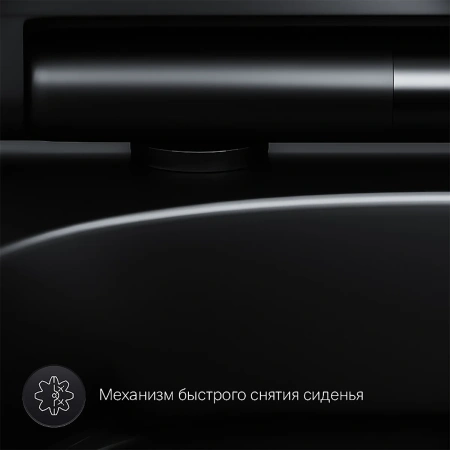 Унитаз подвесной AM.PM C701700MBSC Spirit V2.0  FlashClean с сиденьем микролифт, черн мат,
