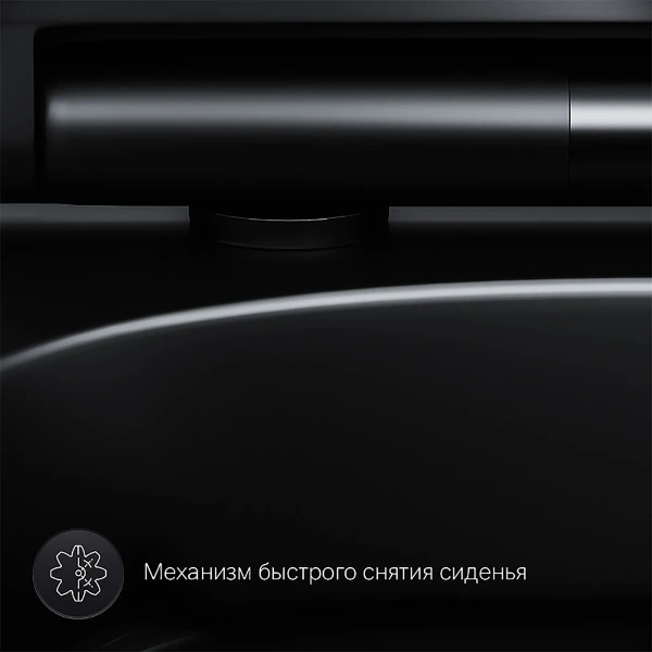 Унитаз подвесной AM.PM C701700MBSC Spirit V2.0  FlashClean с сиденьем микролифт, черн мат,