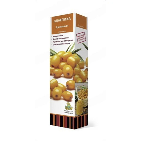 Саженцы Облепиха Джемовая ЦКор