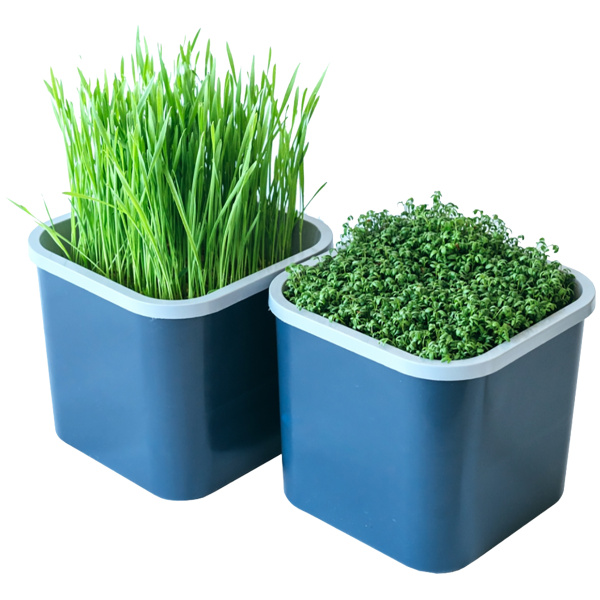 Проращиватель семян 2-х модульный Здоровья КЛАД Х2 (серия ГРАФИТ)