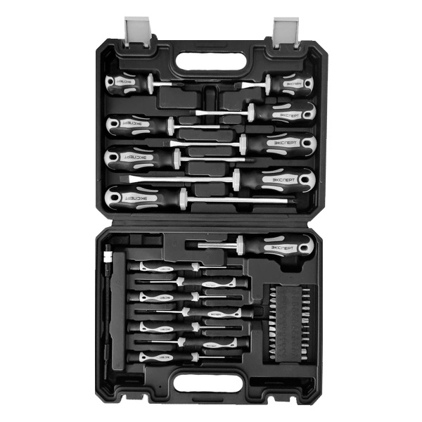Набор "ЭКСПЕРТ" 149303-S42: отвертки с 2х ком. рукояткой, Cr-V сталь, магн.наконечник, в пласт.боксе