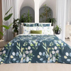 Комплект постельного белья Волшебная Ночь 2,0 СП нав. 50х70 см RAINY GARDEN 925639