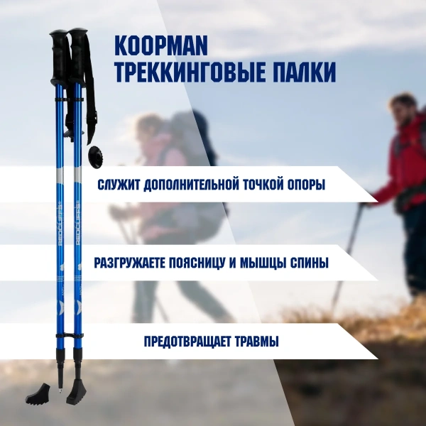 Палки треккинговые набор 8EI000210 К