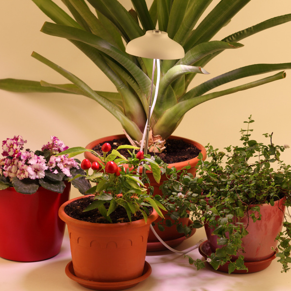 Светильник для растений ЭРА FITO-12W-FLED штыковой полного спектра 12 Вт