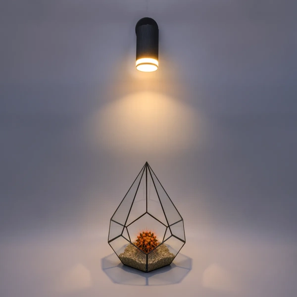 Светильник накладной WOLTA WSL-GU10/04BL под лампу GU10 IP20 черный D60x163