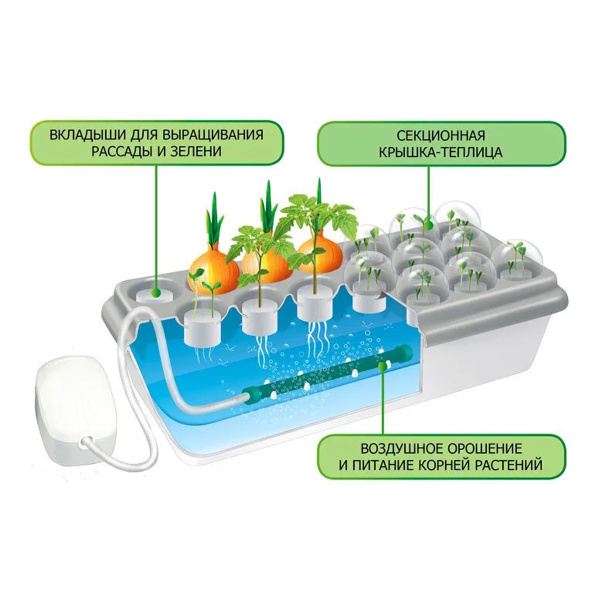 Чудо грядка домашняя двойная "Здоровья КЛАД"