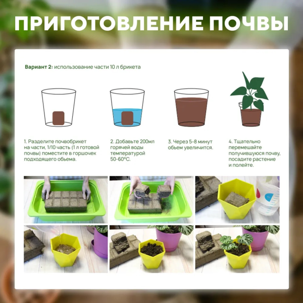 Почвобрикет БиоМастер Чудный лимон, 5л