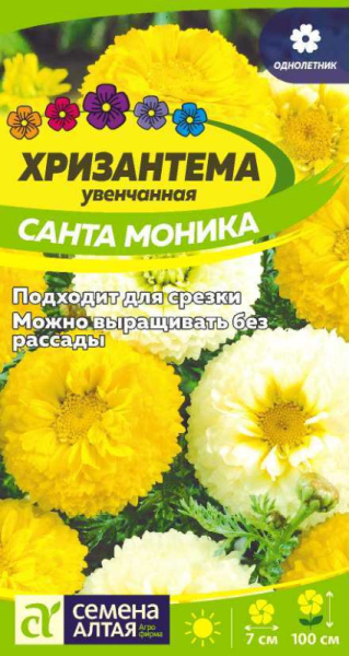 Семена Цветы Хризантема Санта Моника увенчанная/Сем Алт/цп 0,3 гр. (2028 / 3200)