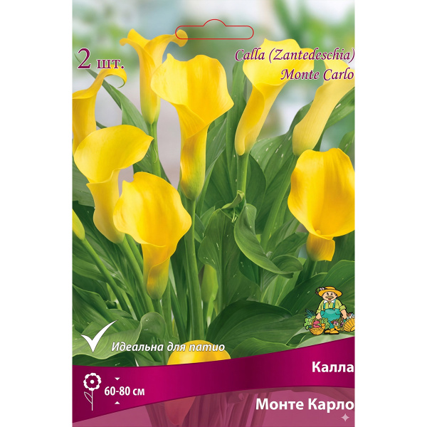 Луковичные Калла  Монте Карло