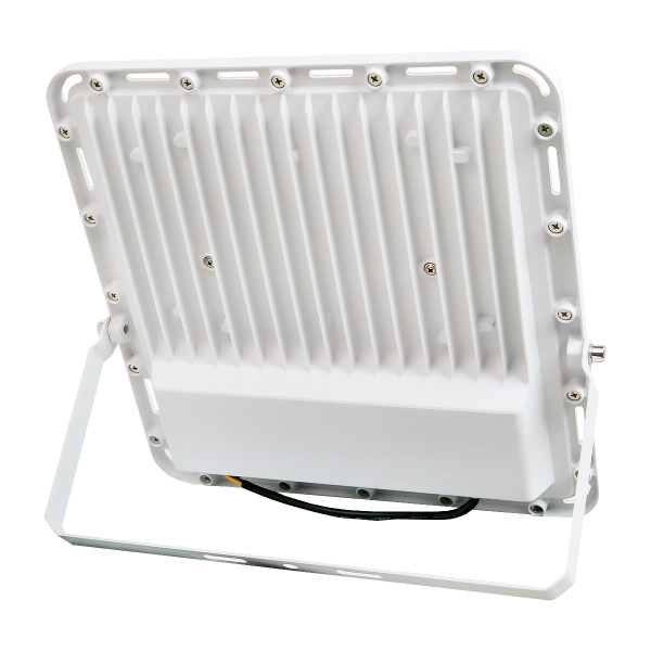 Прожектор светодиодный 109 100W 165V-265V 6000K