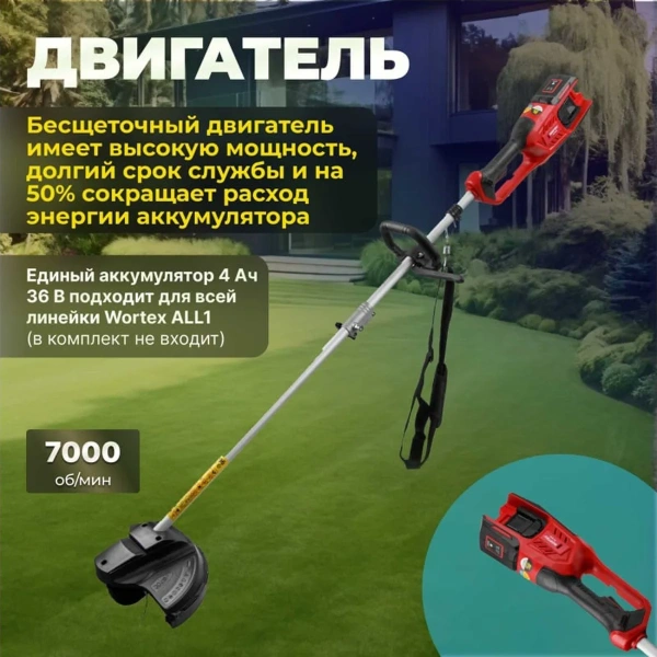 Триммер аккум. WORTEX TB 3036 ALL1 SOLO БЕСЩЁТ.ДВИГ., 18В+18В, шир.скаш.300 мм леска, 255 мм нож, по