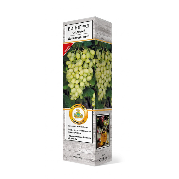 Саженцы Виноград плодовый Долгожданный ЦКор