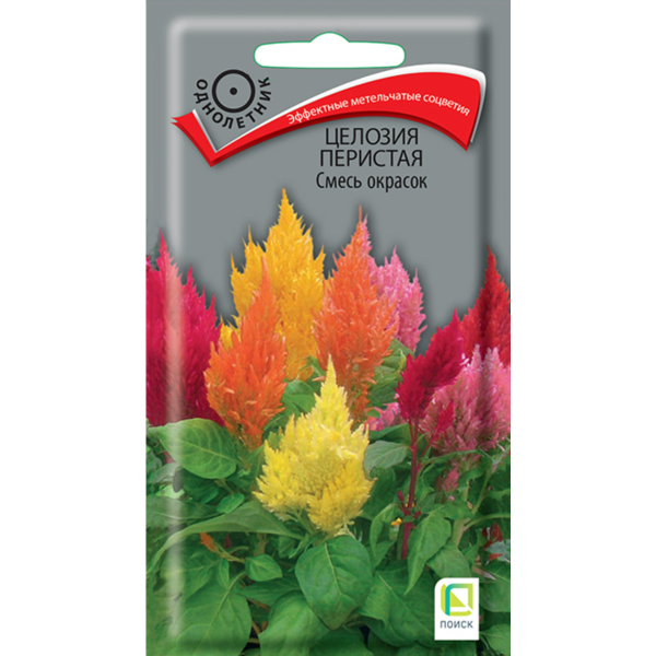 Семена Цветы Целозия перистая Смесь окрасок ЦП 0,1гр Поиск