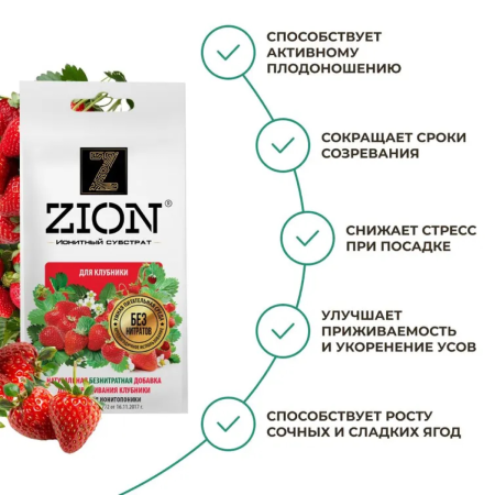 Субстрат ионитный ZION (Цион) для выращивания клубники 30 гр