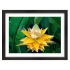 Картина в раме Нежный цветок 30х40 см PM-3411