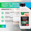 PROSEPT FUNGI CLEAN - Удалитель плесени концентрат 1:1, 1л.
