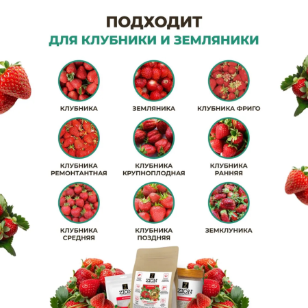 Субстрат ионитный ZION (Цион) для выращивания клубники 30 гр