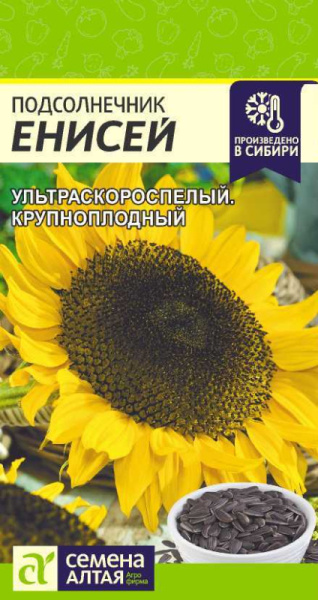 Семена Подсолнечник Енисей/Сем Алт/цп 10 гр. (2029 / 4733)