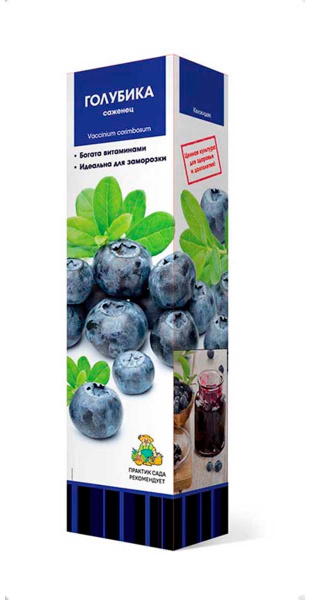 Саженцы Голубика высокорослая Ханнас Чойс/ЦКор