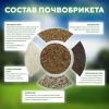 Почвобрикет БиоМастер Зеленая Пальма, 5л