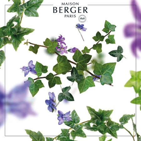 Аромадиффузор Maison Berger Лолита Лемпика 115мл черный