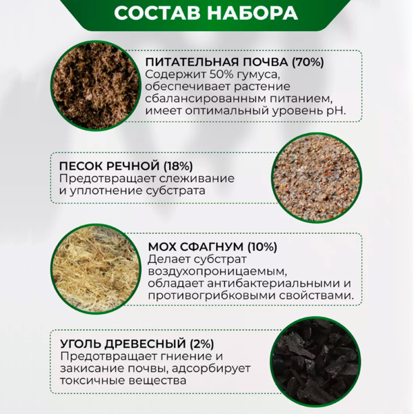 Субстракт БиоМастер - для Фиалок, 2 л.