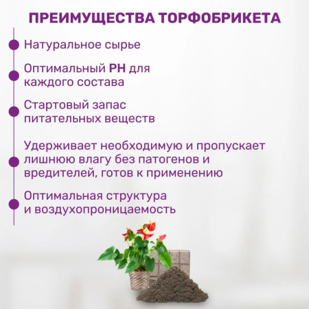 Почвобрикет БиоМастер Нежная фиалка, 5л