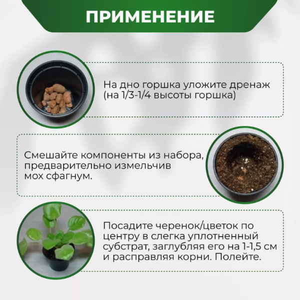 Субстракт БиоМастер - для Фиалок, 2 л.