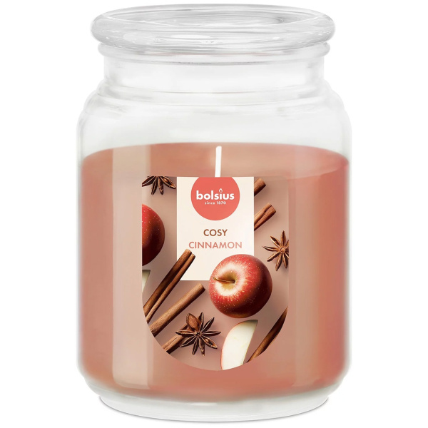 Аромасвеча в стакане Bolsius True Scents 13,5х10 см Apple Cinnamon