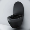 Унитаз подвесной AM.PM C701700MBSC Spirit V2.0  FlashClean с сиденьем микролифт, черн мат,