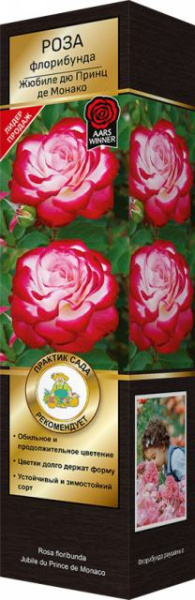 Саженцы Роза флорибунда Жюбиле дю Принц де Монако (Жюбиле де Санкт-Петербург) ЦКор