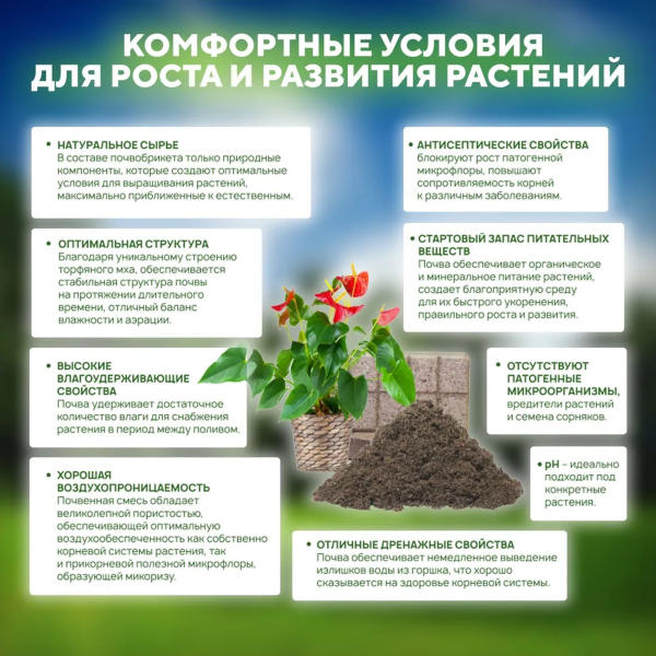 Почвобрикет БиоМастер Зеленая Пальма, 5л