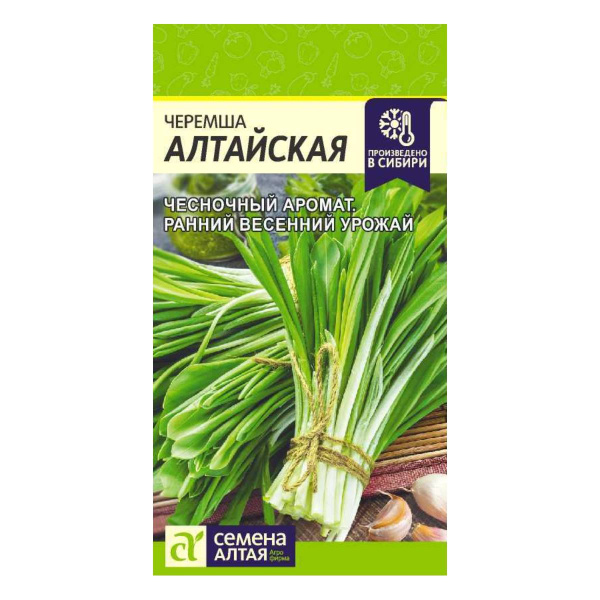 Семена Зелень Лук Черемша алтайская/Сем Алт/цп 0,3 гр. НОВИНКА!