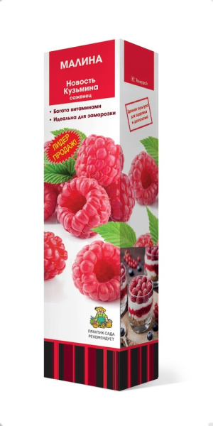 Саженцы Малина традиционные сорта Новость Кузьмина/ЦКор