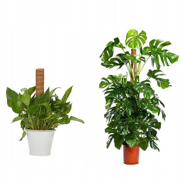 Опора для растений (кокосовая) GardenLine 45 CM X 32 MM X 25 MM