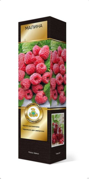 Саженцы Малина ремонтантные сорта Люкс Нижегородец ЦКор