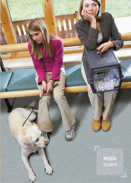 Линолеум Moda 121603 (4м)