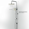 Душ.система  АМ.РМ Like,верх. душ 250мм,ручной душ d 110 мм F0780064