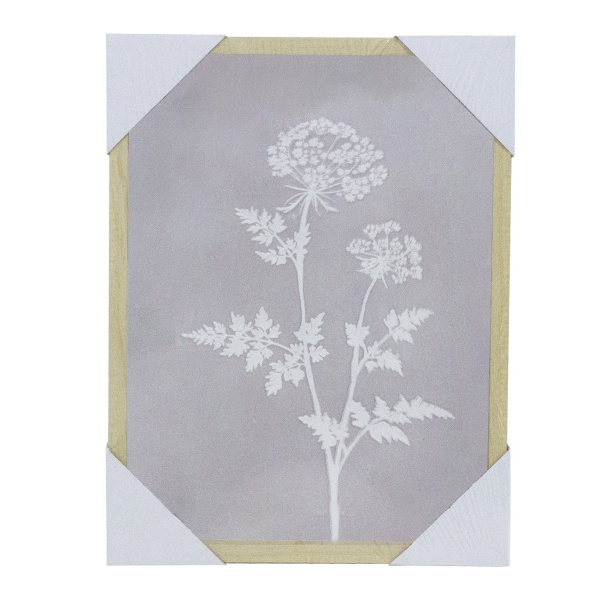 Картина Сухоцвет 32х42 см TP240395A-3040 CN