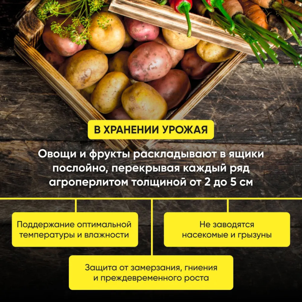 Перлит БиоМастер 2 л.